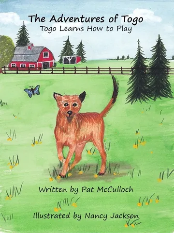 Togo Learns to Play book cover